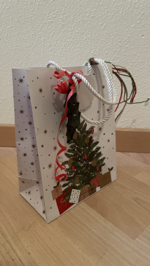 Riding Boutique Christmas Surprise Bag