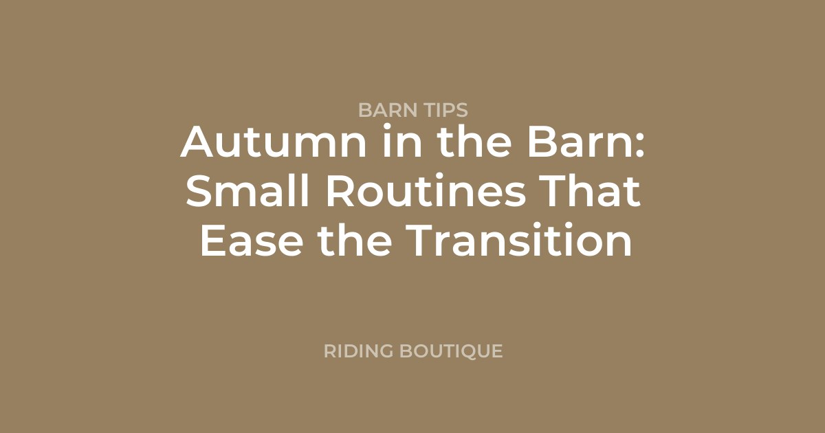 Autumn in the Barn: Small Routines That Ease the Transition