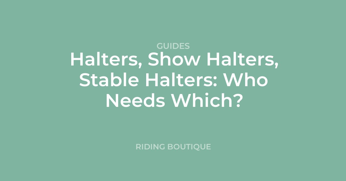 Halters, Show Halters, Stable Halters: Who Needs Which?