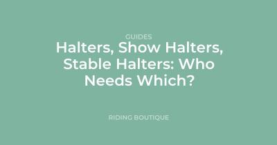 Halters, Show Halters, Stable Halters: Who Needs Which?
