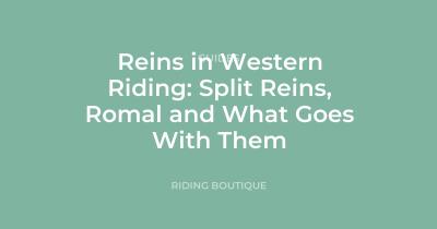 Reins in Western Riding: Split Reins, Romal and What Goes With Them