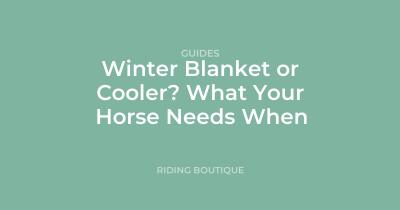 Winter Blanket or Cooler? What Your Horse Needs When