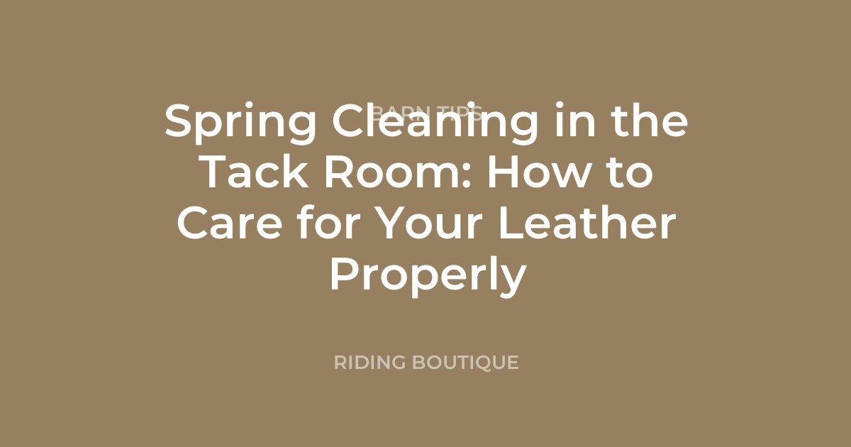 Spring Cleaning in the Tack Room: How to Care for Your Leather Properly